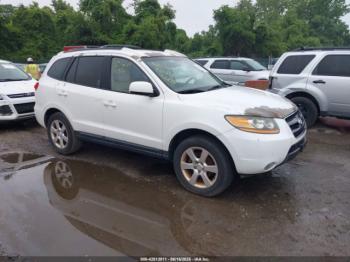 Salvage Hyundai SANTA FE