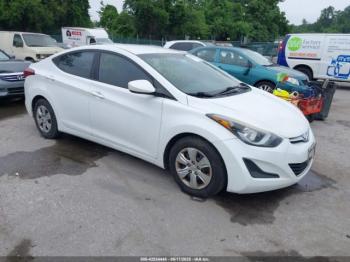  Salvage Hyundai ELANTRA