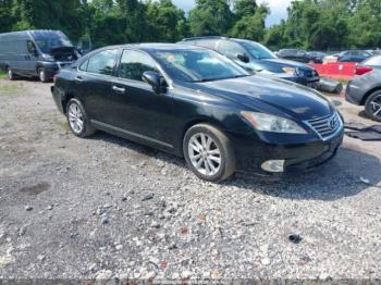  Salvage Lexus Es