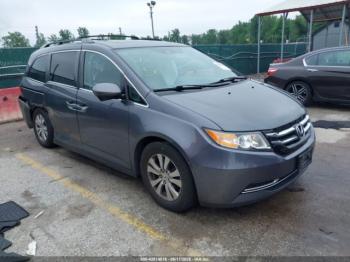  Salvage Honda Odyssey