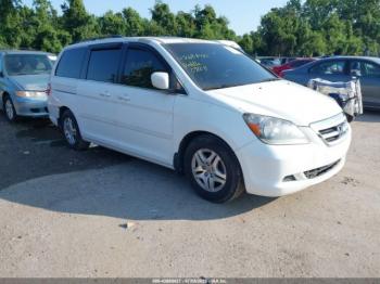  Salvage Honda Odyssey