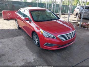  Salvage Hyundai SONATA