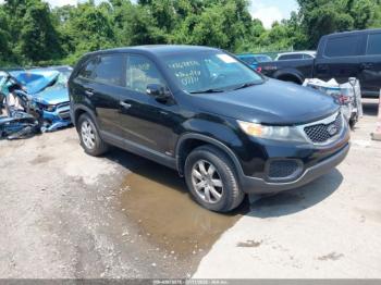  Salvage Kia Sorento