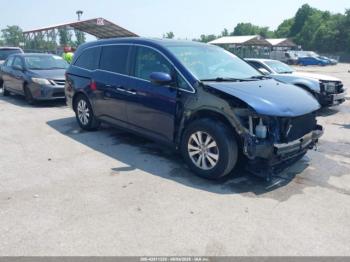  Salvage Honda Odyssey
