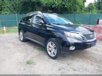  Salvage Lexus RX