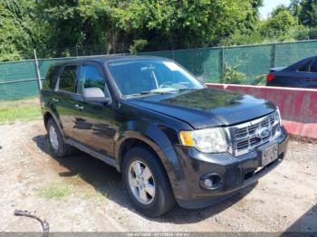  Salvage Ford Escape