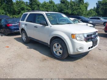  Salvage Ford Escape
