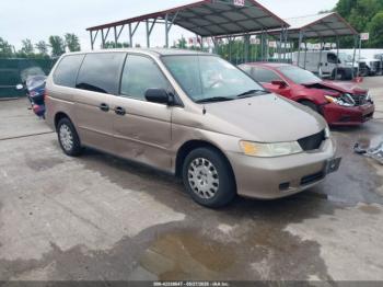  Salvage Honda Odyssey