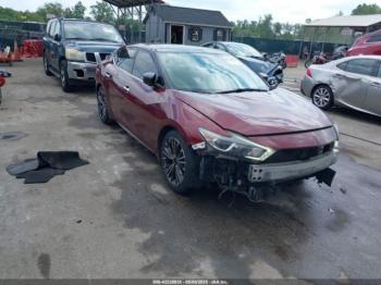  Salvage Nissan Maxima