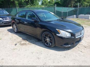  Salvage Nissan Maxima