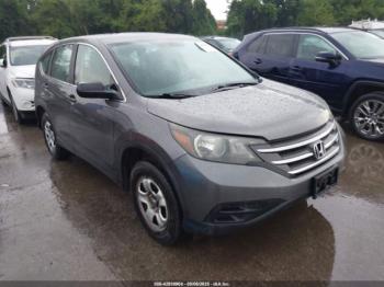  Salvage Honda CR-V