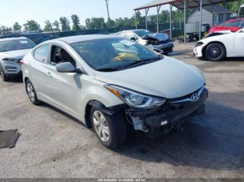  Salvage Hyundai ELANTRA
