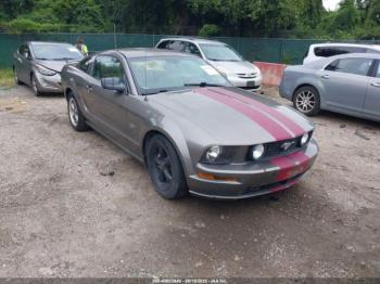 Salvage Ford Mustang