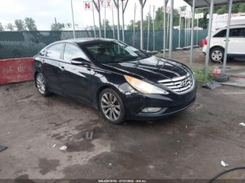 Salvage Hyundai SONATA