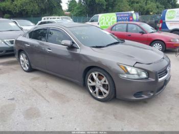  Salvage Nissan Maxima