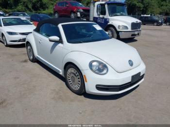  Salvage Volkswagen Beetle