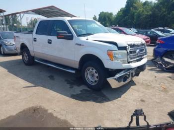  Salvage Ford F-150