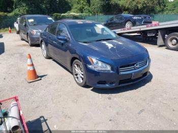  Salvage Nissan Maxima