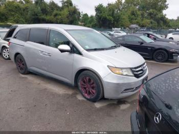  Salvage Honda Odyssey