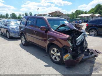  Salvage Honda Pilot