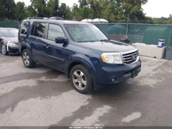  Salvage Honda Pilot
