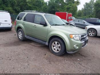  Salvage Ford Escape