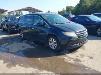  Salvage Honda Odyssey