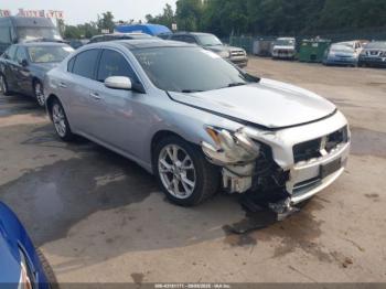  Salvage Nissan Maxima
