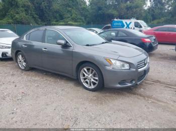  Salvage Nissan Maxima