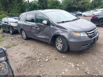 Salvage Honda Odyssey