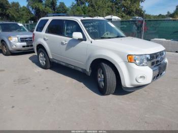  Salvage Ford Escape
