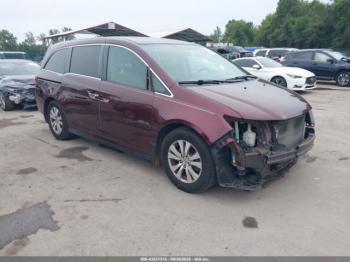  Salvage Honda Odyssey