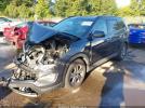 Hyundai SANTA FE Gls Image 7