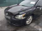 Nissan Maxima 3.5 Sv Image 3