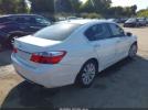 Honda Accord Ex-l Image 4