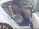 Honda Accord Ex-l Image 6