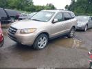 Hyundai SANTA FE Image 4