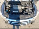 Honda Accord 3.5 Ex-l Image 7