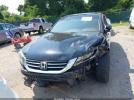 Honda Accord Sport Image 7