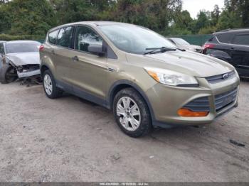  Salvage Ford Escape