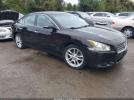 Nissan Maxima 3.5 Sv Image 1