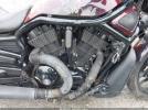 Harley-Davidson Vrscdx Night Rod Special Image 2