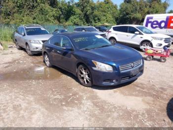  Salvage Nissan Maxima
