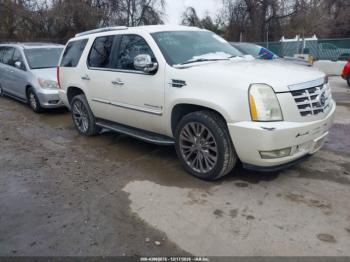  Salvage Cadillac Escalade