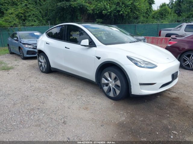 Tesla Model Y Image 1