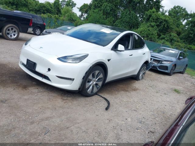 Tesla Model Y Image 4