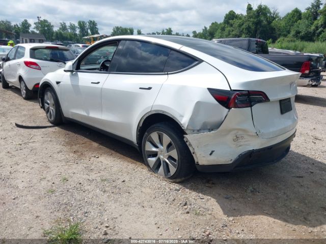 Tesla Model Y Image 3