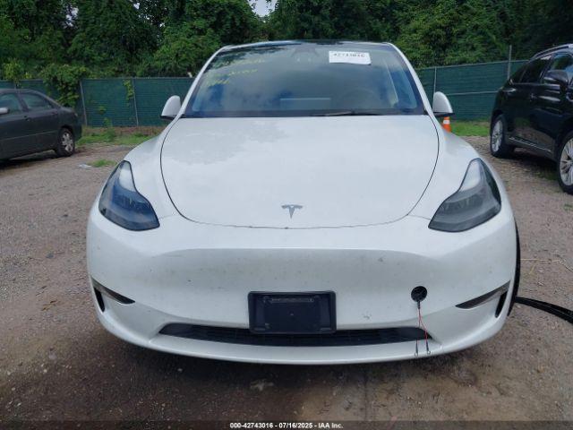 Tesla Model Y Image 7
