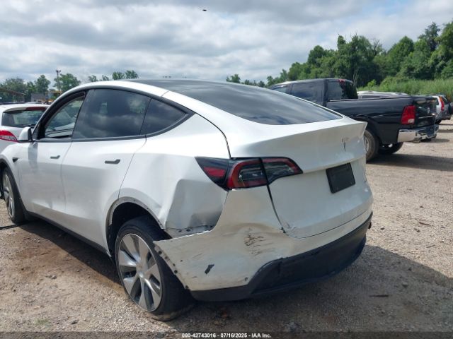 Tesla Model Y Image 11