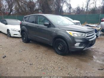  Salvage Ford Escape